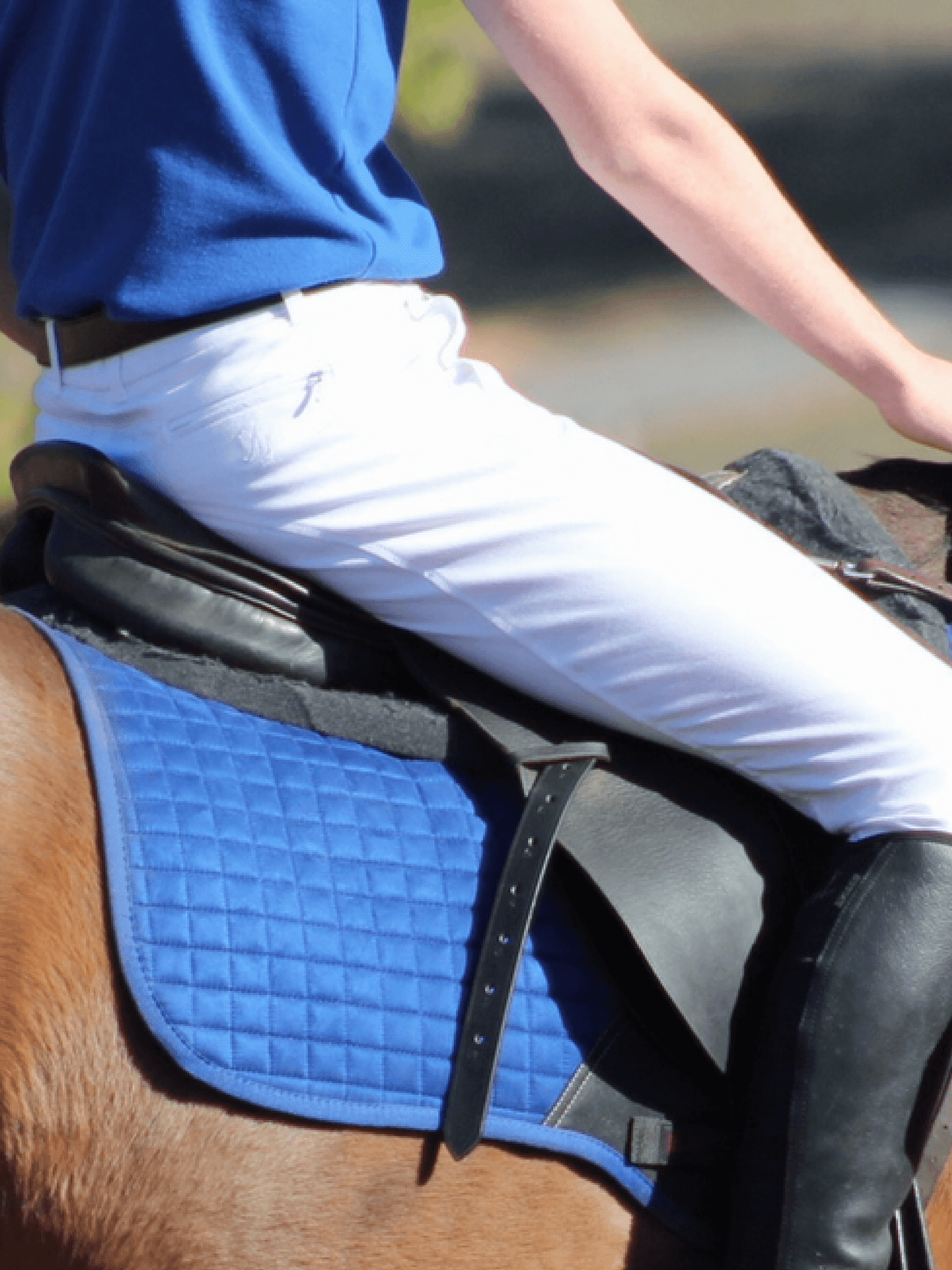 Peter Williams Riding Apparel Breeches Junior Men's Breeches