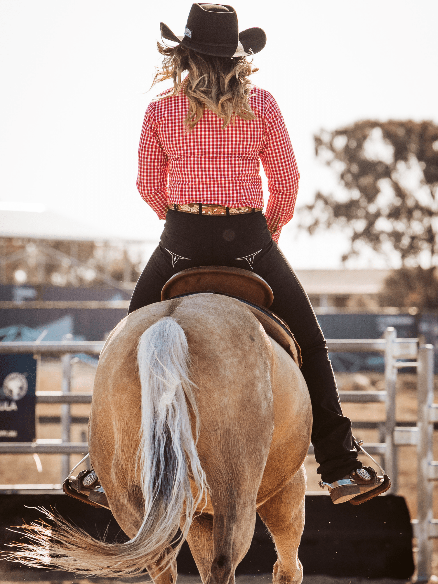 Peter Williams Riding Apparel Western Riding Pants Roxby Horse Riding Jeans - Ladies - BLACK