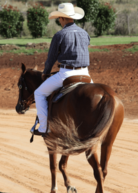 Peter Williams Riding Apparel Western Riding Pants Warwick Mens White Horse Riding Jeans for Stock Horse and Polo Cross