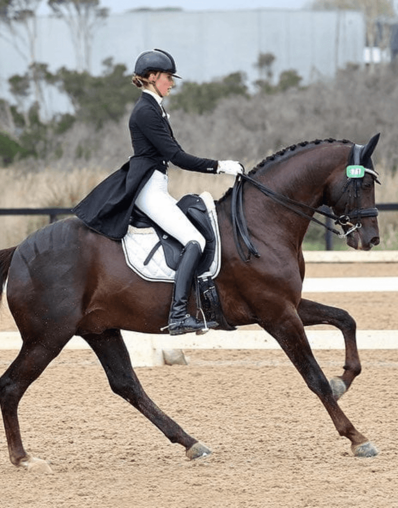 PW Cambridge Breeches - Ladies - Peter Williams Riding Apparel