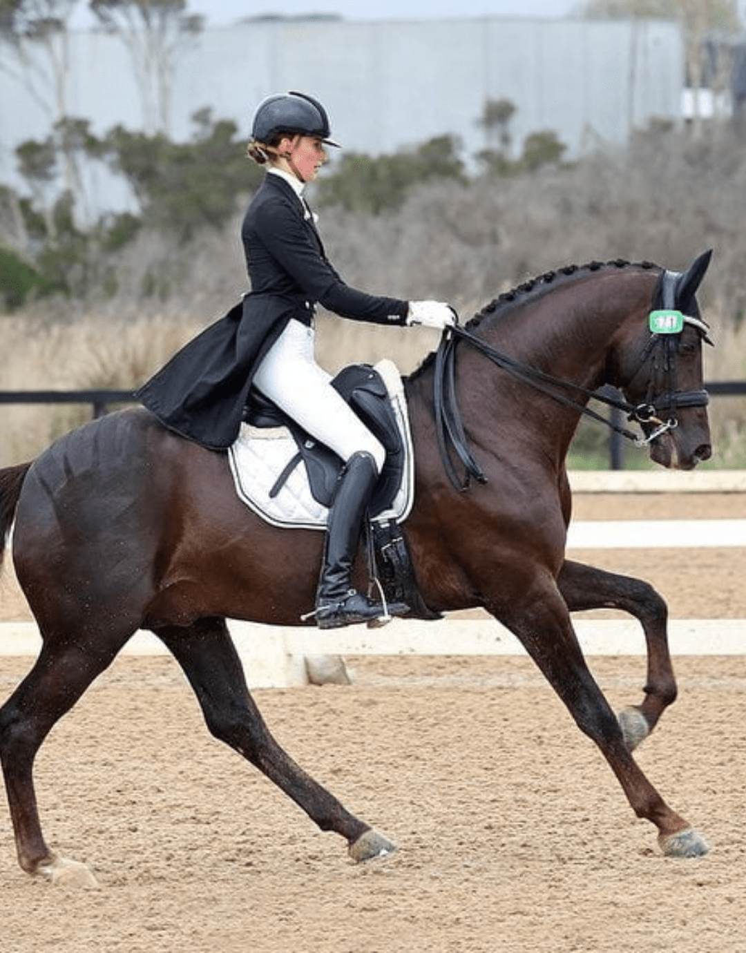 Peter Williams Riding Apparel Breeches Cambridge Riding Breeches - Ladies