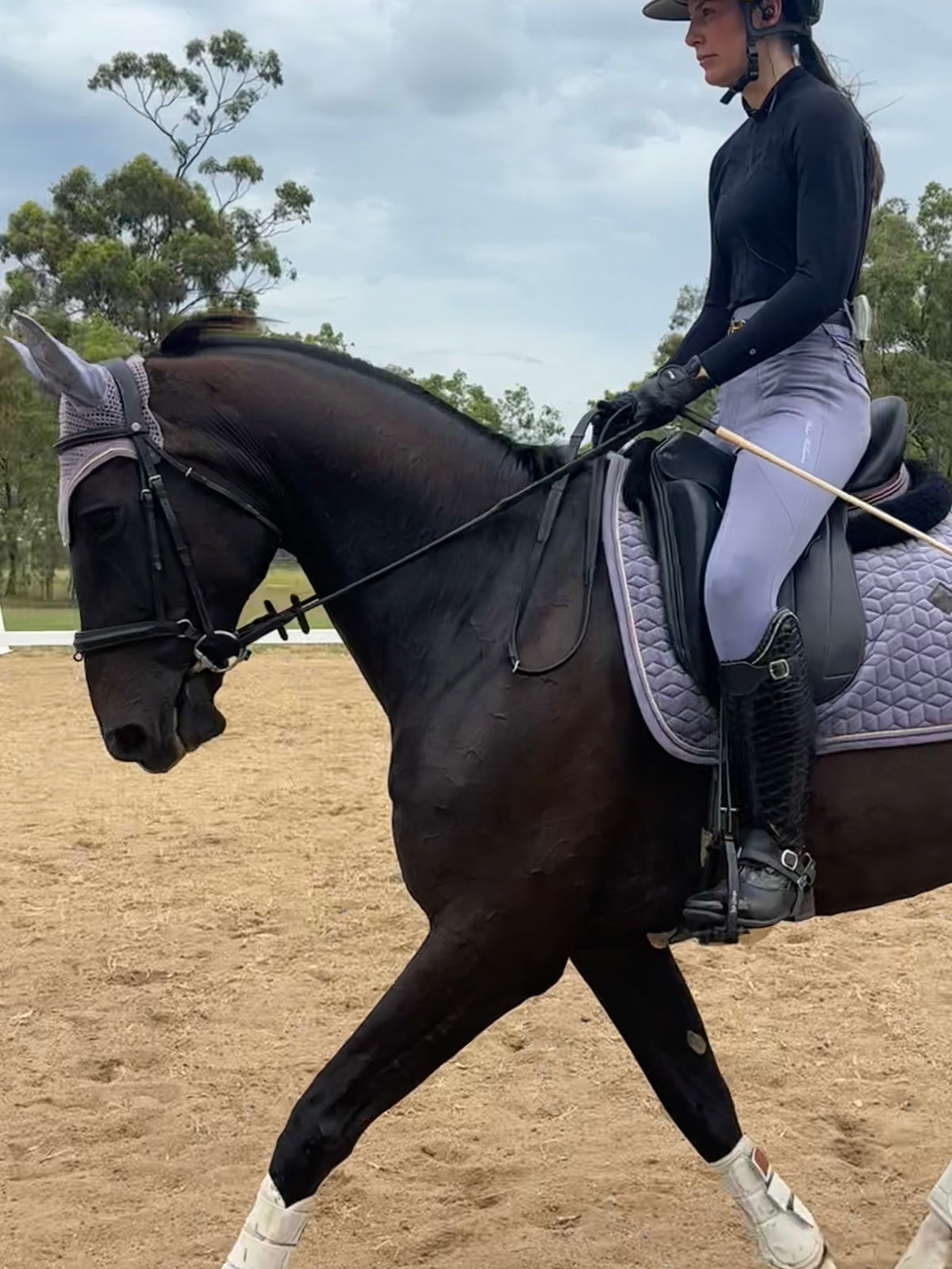 Peter Williams Riding Apparel Ladies Riding Tights - Lavender