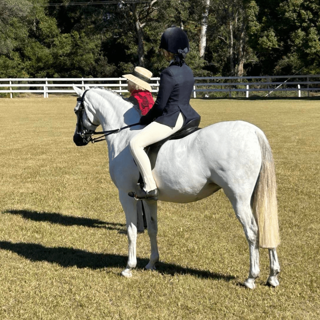 Peter Williams Riding Apparel Riding Pants Signature Show Riding Tights - Youth