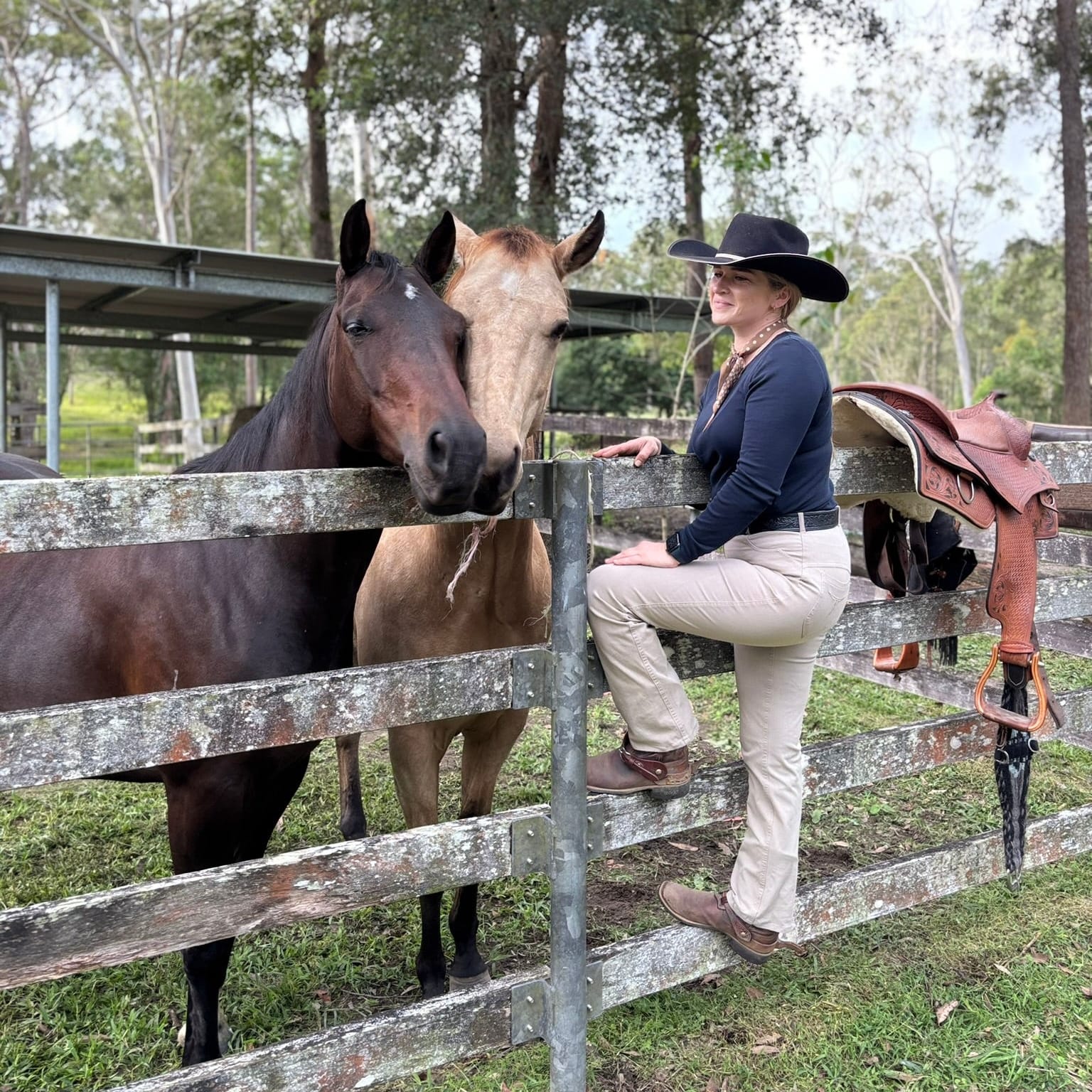 Peter Williams Riding Apparel Western Riding Pants Sophia Horse Riding Jeans - Khaki