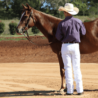 PW Warwick Denim Riding Jeans - Men's - Peter Williams Riding Apparel