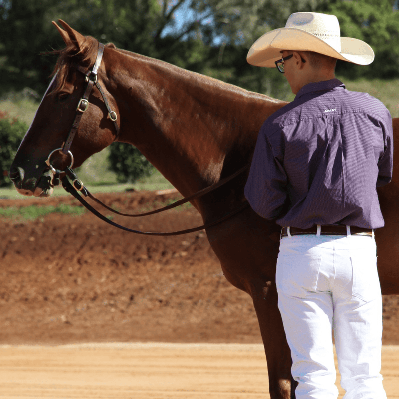 PW Warwick Denim Riding Jeans - Men's - Peter Williams Riding Apparel