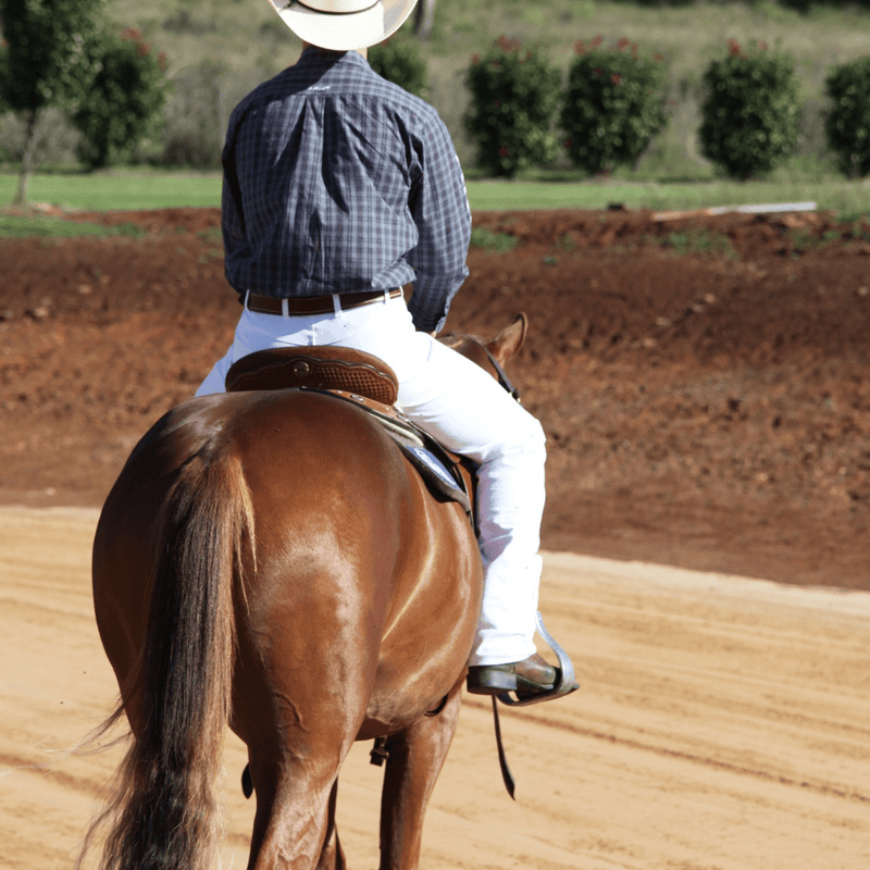 PW Warwick Denim Riding Jeans - Men's - Peter Williams Riding Apparel