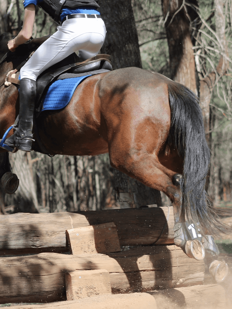 Junior Men's Breeches - Peter Williams Riding Apparel