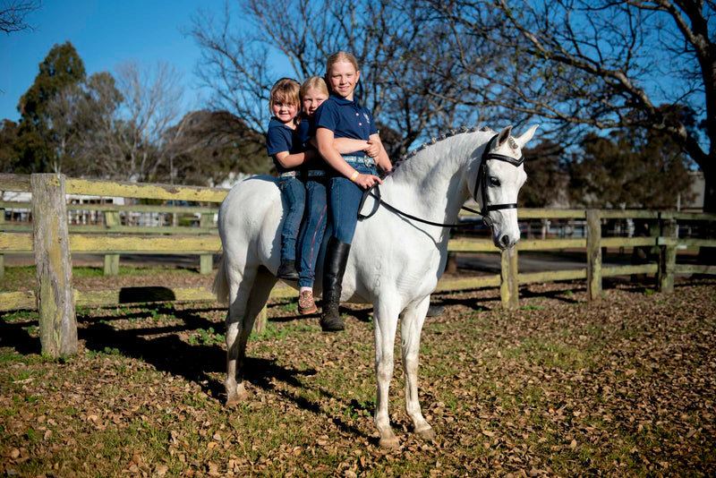 PW Lennox Youth Denim Breeches - Peter Williams Riding Apparel