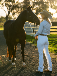 Tamworth Denim Riding Jeans - Peter Williams Riding Apparel