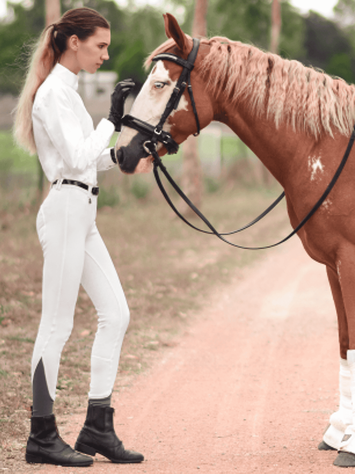 Peter Williams Riding Apparel Breeches Gripper Breeches with zip front - No Pocket & Gel Seat