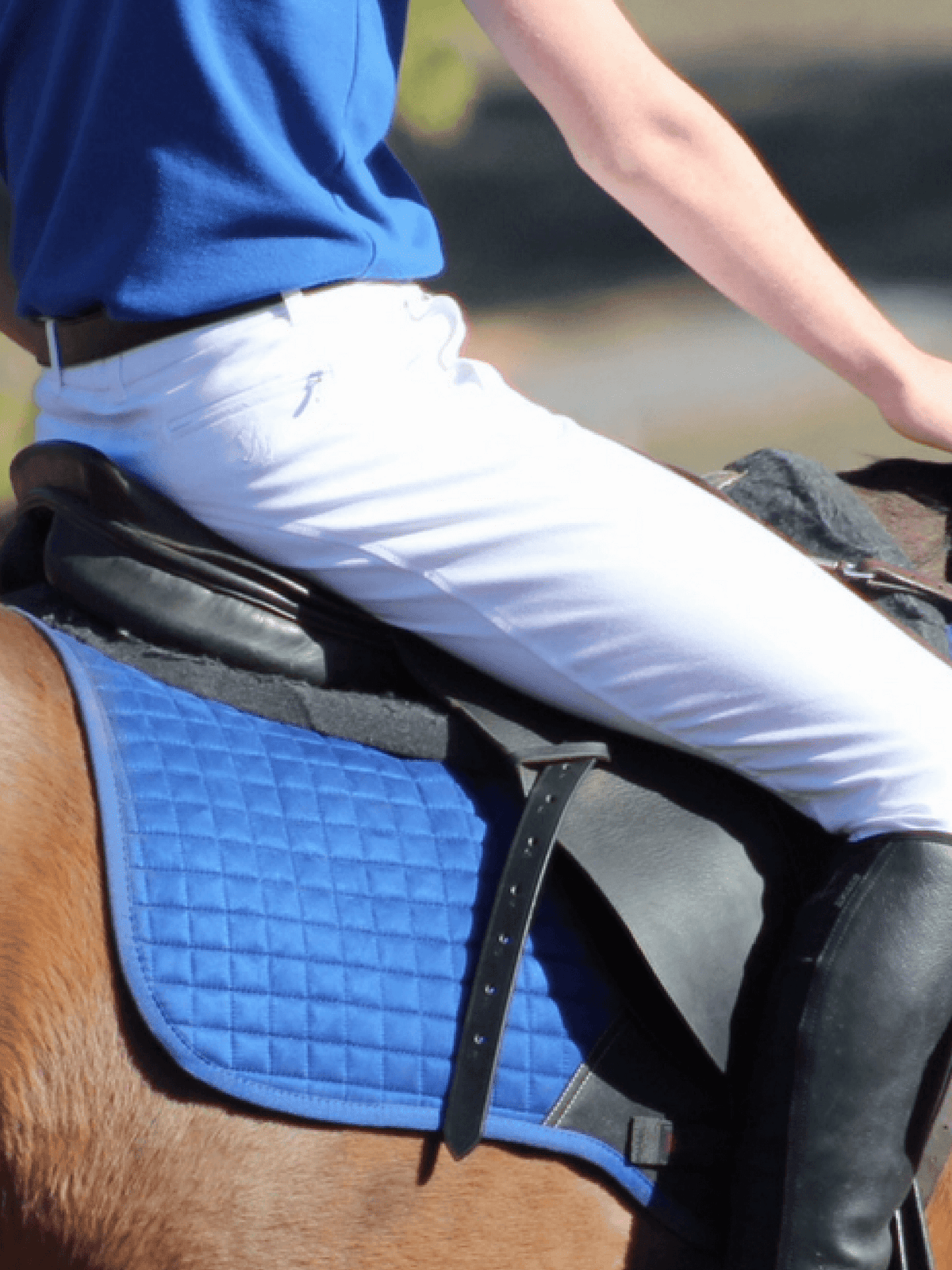 Peter Williams Riding Apparel Breeches Junior Men's Breeches