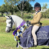 Peter Williams Riding Apparel Riding Pants Signature Show Riding Tights - Youth