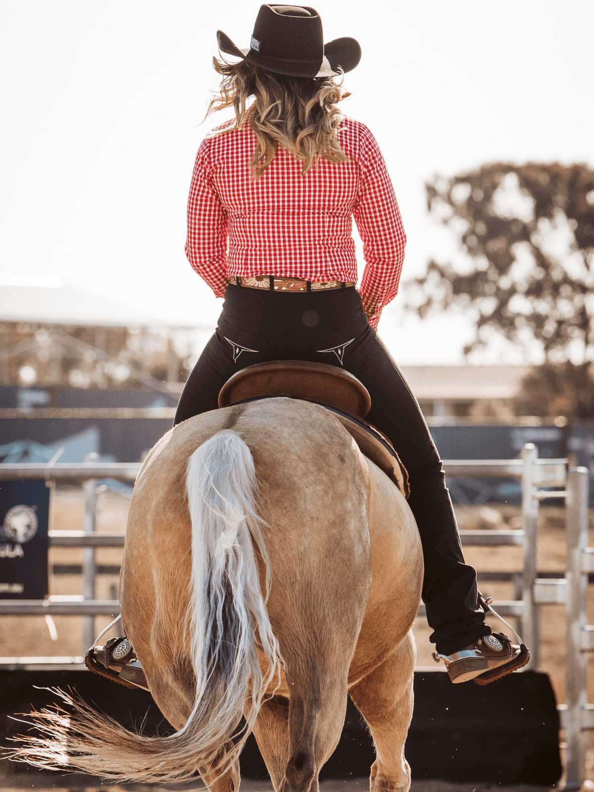 Peter Williams Riding Apparel Western Riding Pants Roxby Horse Riding Jeans - Ladies - BLACK