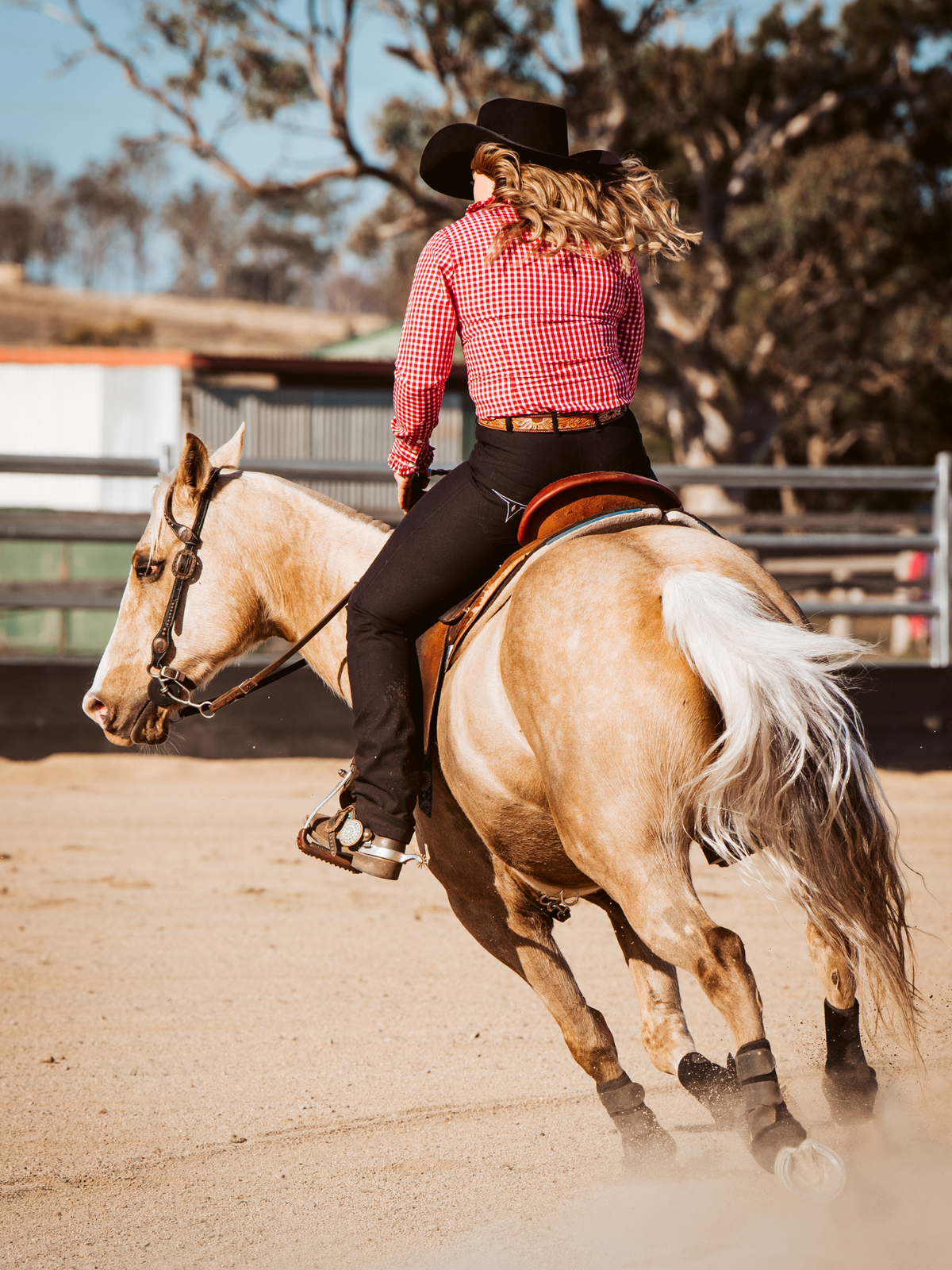 Peter Williams Riding Apparel Western Riding Pants Roxby Horse Riding Jeans - Ladies - BLACK