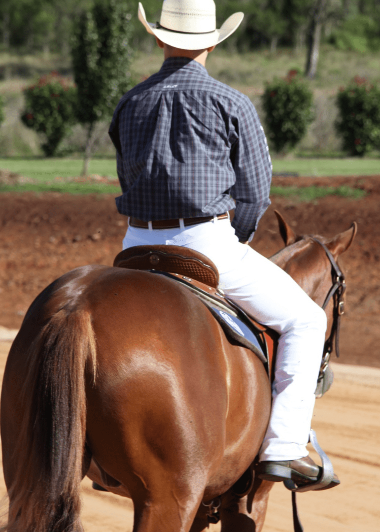 Warwick Mens White Horse Riding Jeans for Stock Horse and Polo