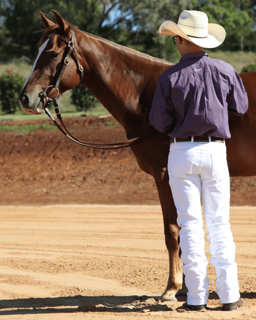 Peter Williams Riding Apparel Western Riding Pants Warwick Mens White Horse Riding Jeans for Stock Horse and Polo Cross